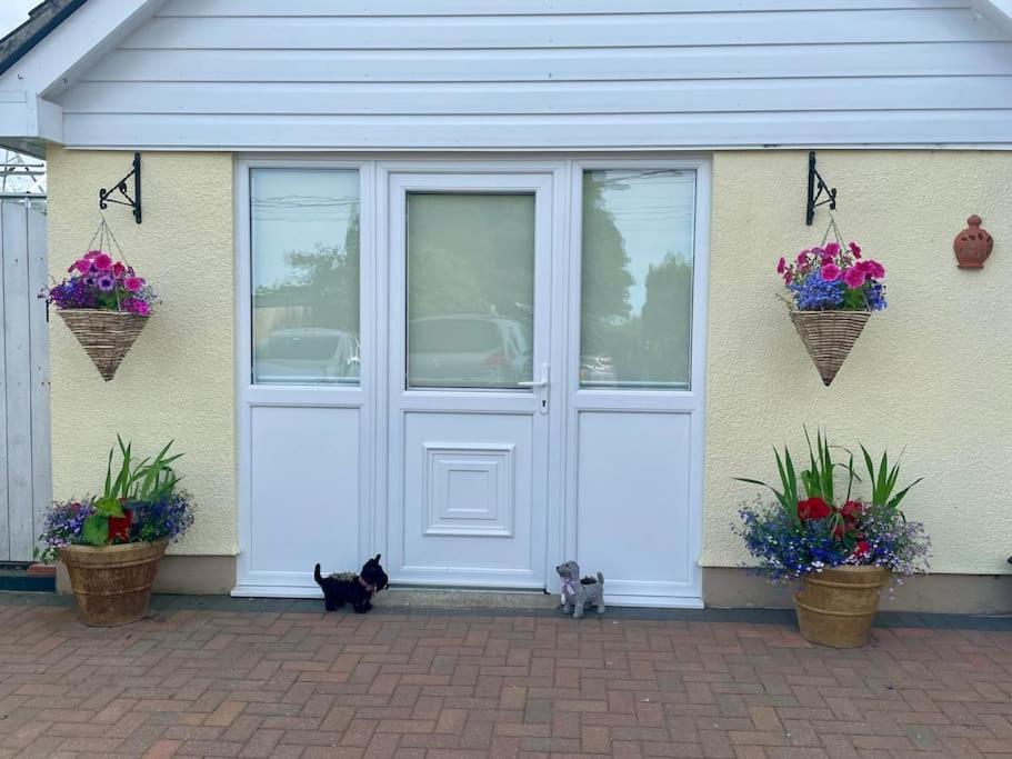 Y Villa Mor Llanarth  외부 사진